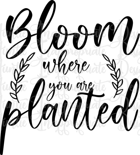 Bloom Where You Are Planted Digital Svg File